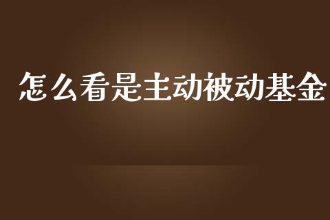 怎么看是主动被动基金_https://qh.lansai.wang_股票技术分析_第1张