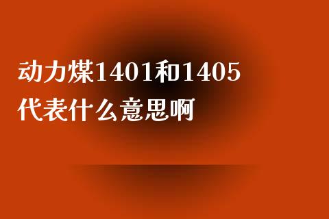 动力煤1401和1405代表什么意思啊_https://qh.lansai.wang_海康威视股票_第1张