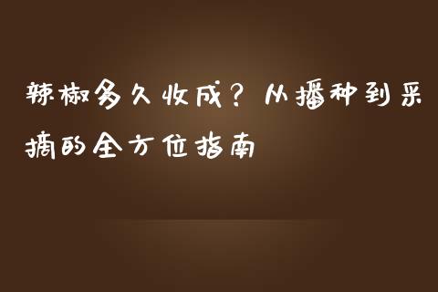 辣椒多久收成？从播种到采摘的全方位指南_https://qh.lansai.wang_期货喊单_第1张