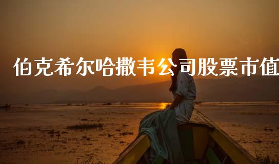 伯克希尔哈撒韦公司股票市值_https://qh.lansai.wang_期货喊单_第1张