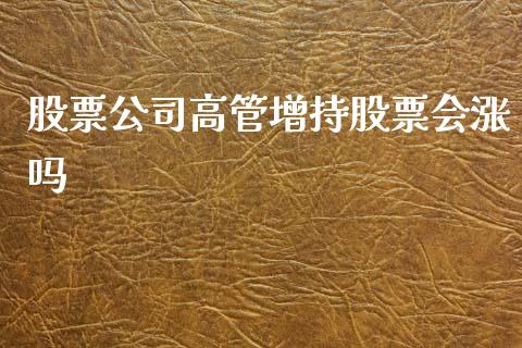 股票公司高管增持股票会涨吗_https://qh.lansai.wang_期货喊单_第1张