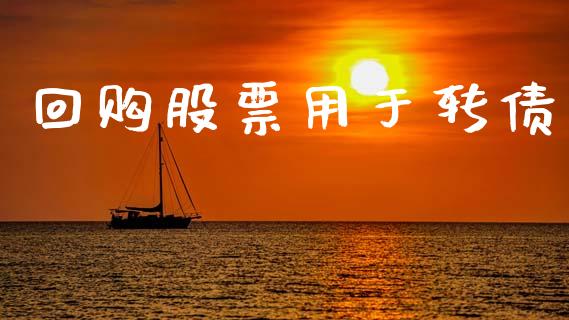 回购股票用于转债_https://qh.lansai.wang_期货怎么玩_第1张