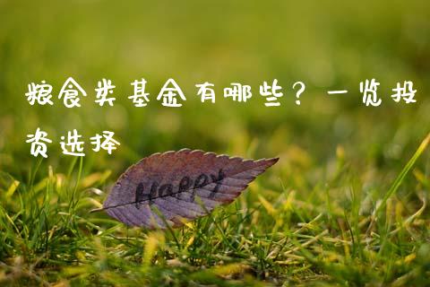 粮食类基金有哪些？一览投资选择_https://qh.lansai.wang_股票新闻_第1张