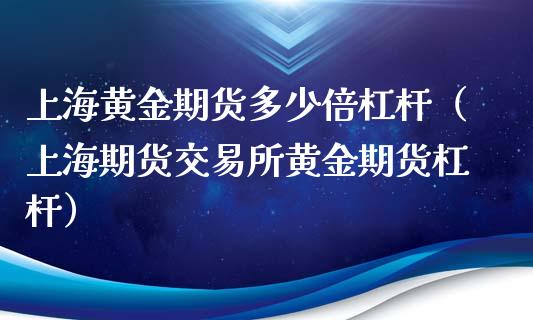 上海黄金期货多少倍杠杆（上海期货交易所黄金期货杠杆）_https://qh.lansai.wang_期货怎么玩_第1张