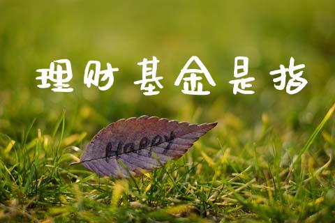 理财基金是指_https://qh.lansai.wang_期货理财_第1张
