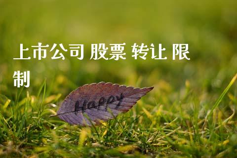 上市公司 股票 转让 限制_https://qh.lansai.wang_期货理财_第1张