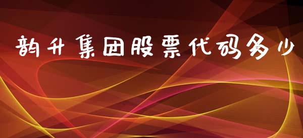 韵升集团股票代码多少_https://qh.lansai.wang_期货喊单_第1张