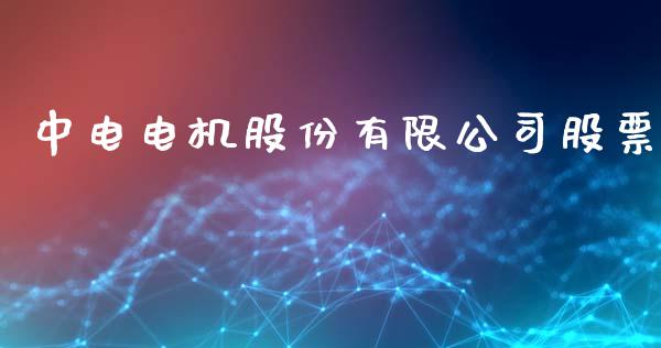 中电电机股份有限公司股票_https://qh.lansai.wang_期货理财_第1张