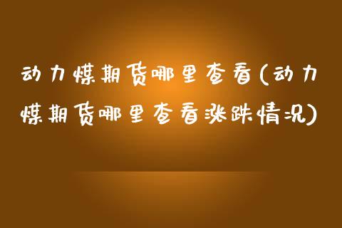 动力煤期货哪里查看(动力煤期货哪里查看涨跌情况)_https://qh.lansai.wang_期货喊单_第1张