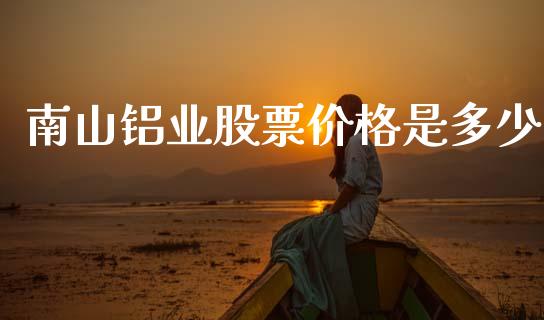 南山铝业股票价格是多少_https://qh.lansai.wang_期货喊单_第1张