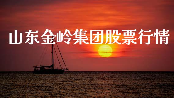 山东金岭集团股票行情_https://qh.lansai.wang_期货理财_第1张