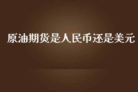 原油期货是人民币还是美元_https://qh.lansai.wang_期货怎么玩_第1张