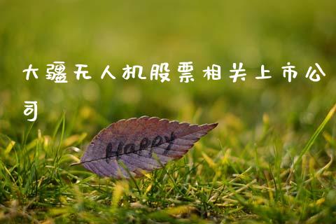 大疆无人机股票相关上市公司_https://qh.lansai.wang_新股数据_第1张