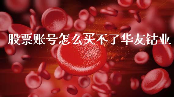 股票账号怎么买不了华友钴业_https://qh.lansai.wang_期货理财_第1张
