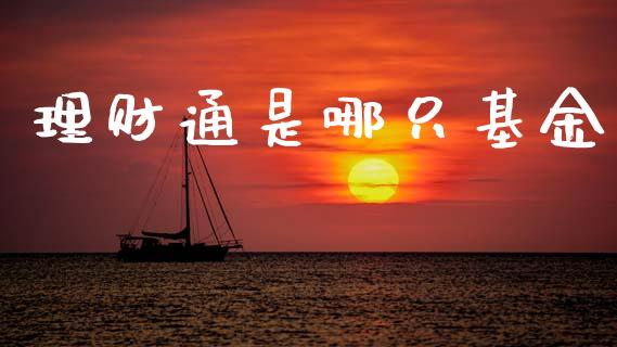 理财通是哪只基金_https://qh.lansai.wang_期货理财_第1张