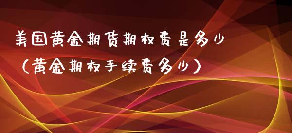 美国黄金期货期权费是多少（黄金期权手续费多少）_https://qh.lansai.wang_期货怎么玩_第1张
