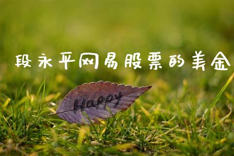 段永平网易股票的美金_https://qh.lansai.wang_期货喊单_第1张