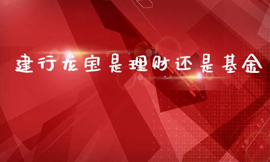 建行龙宝是理财还是基金_https://qh.lansai.wang_期货理财_第1张