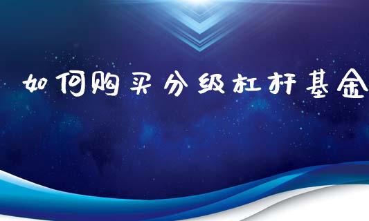 如何购买分级杠杆基金_https://qh.lansai.wang_期货理财_第1张