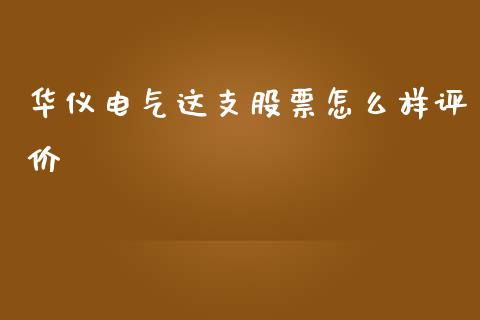 华仪电气这支股票怎么样评价_https://qh.lansai.wang_期货理财_第1张