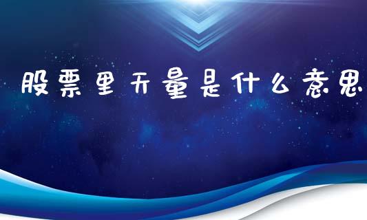 股票里天量是什么意思_https://qh.lansai.wang_新股数据_第1张