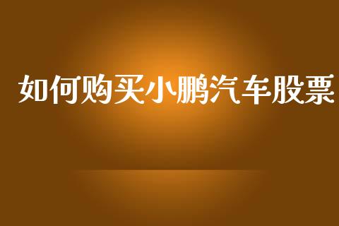 如何购买小鹏汽车股票_https://qh.lansai.wang_期货喊单_第1张