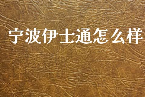 宁波伊士通怎么样_https://qh.lansai.wang_期货喊单_第1张