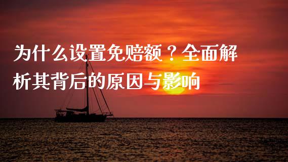 为什么设置免赔额？全面解析其背后的原因与影响_https://qh.lansai.wang_期货喊单_第1张