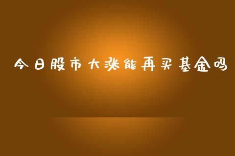 今日股市大涨能再买基金吗_https://qh.lansai.wang_期货理财_第1张