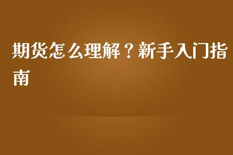 期货怎么理解？新手入门指南_https://qh.lansai.wang_期货喊单_第1张