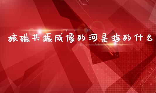 核磁共振成像的河是指的什么_https://qh.lansai.wang_期货理财_第1张