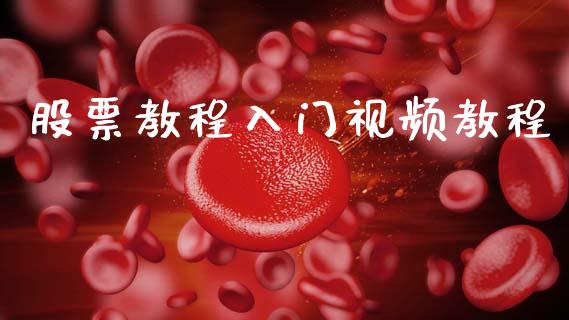 股票教程入门视频教程_https://qh.lansai.wang_期货理财_第1张