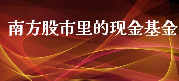 南方股市里的现金基金_https://qh.lansai.wang_期货理财_第1张
