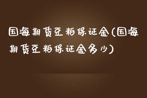 国海期货豆粕保证金(国海期货豆粕保证金多少)_https://qh.lansai.wang_期货怎么玩_第1张
