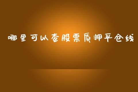 哪里可以查股票质押平仓线_https://qh.lansai.wang_新股数据_第1张