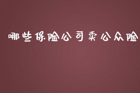哪些保险公司卖公众险_https://qh.lansai.wang_期货理财_第1张