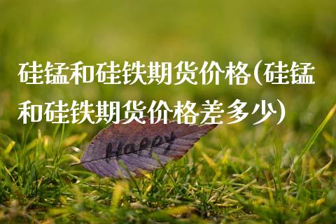 硅锰和硅铁期货价格(硅锰和硅铁期货价格差多少)_https://qh.lansai.wang_期货理财_第1张