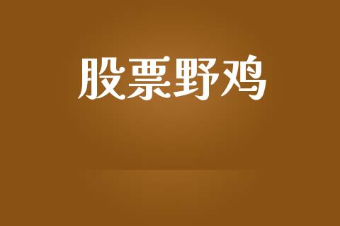 股票野鸡_https://qh.lansai.wang_期货怎么玩_第1张