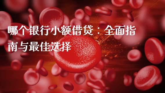 哪个银行小额借贷：全面指南与最佳选择_https://qh.lansai.wang_期货怎么玩_第1张