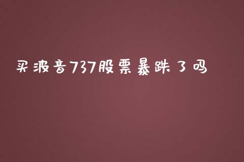 买波音737股票暴跌了吗_https://qh.lansai.wang_新股数据_第1张