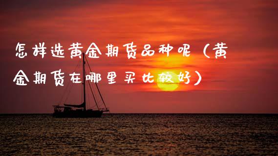 怎样选黄金期货品种呢（黄金期货在哪里买比较好）_https://qh.lansai.wang_期货怎么玩_第1张