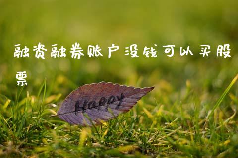 融资融券账户没钱可以买股票_https://qh.lansai.wang_新股数据_第1张