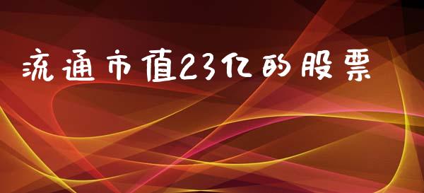流通市值23亿的股票_https://qh.lansai.wang_期货理财_第1张