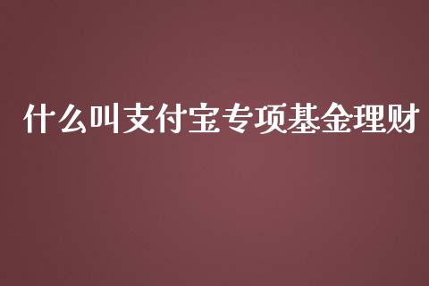 什么叫支付宝专项基金理财_https://qh.lansai.wang_期货理财_第1张