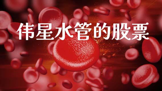 伟星水管的股票_https://qh.lansai.wang_期货理财_第1张