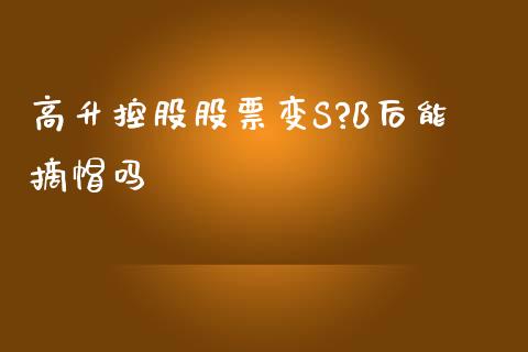 高升控股股票变S?B后能摘帽吗_https://qh.lansai.wang_期货喊单_第1张