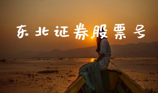 东北证券股票号_https://qh.lansai.wang_期货理财_第1张