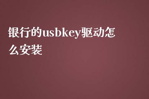 银行的usbkey驱动怎么安装_https://qh.lansai.wang_新股数据_第1张