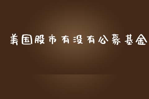 美国股市有没有公募基金_https://qh.lansai.wang_期货理财_第1张