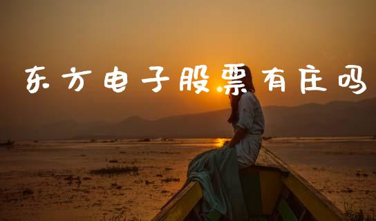 东方电子股票有庄吗_https://qh.lansai.wang_新股数据_第1张